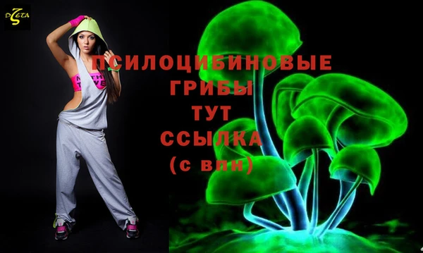 гашик Армянск
